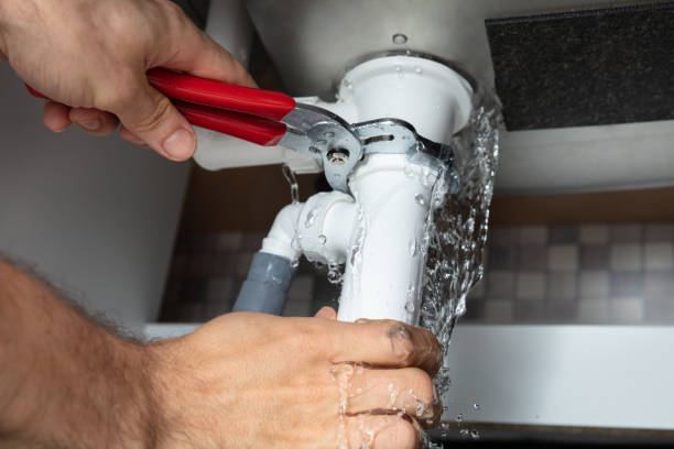 Best Flooded house restoration  in Whitefish Bay, WI