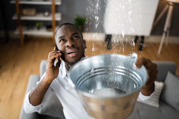 Best Mold removal after water damage  in Whitefish Bay, WI