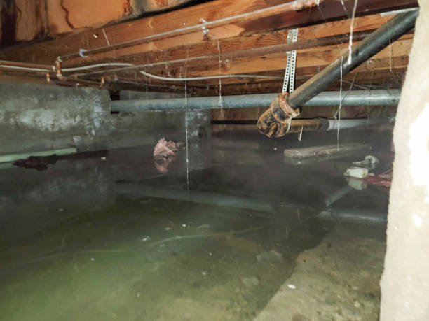 Best Flooded house restoration  in Whitefish Bay, WI