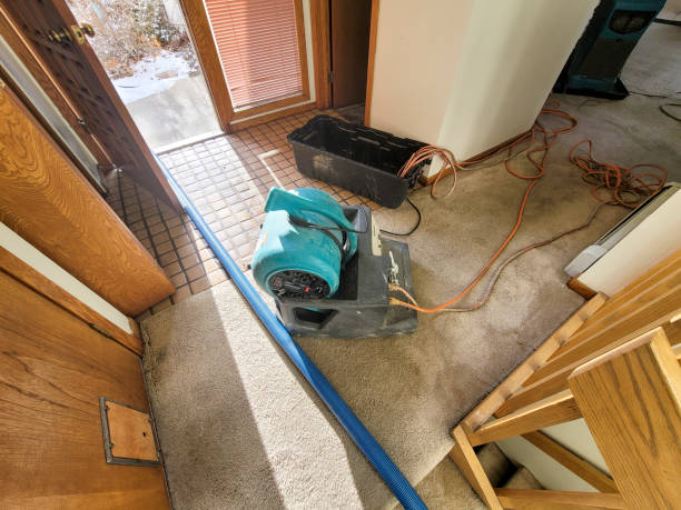 Best Water damage restoration specialists  in Whitefish Bay, WI