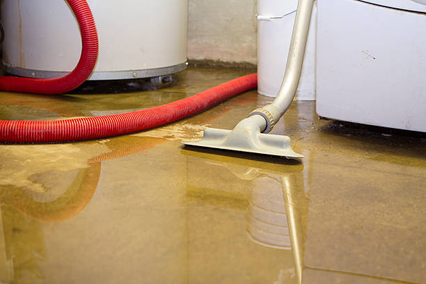 Best Professional water damage repair  in Whitefish Bay, WI