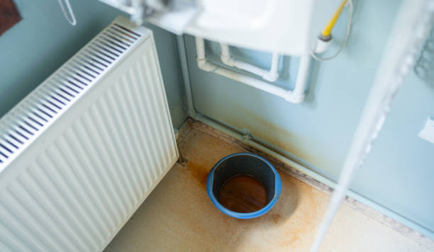Best Ceiling water damage repair  in Whitefish Bay, WI