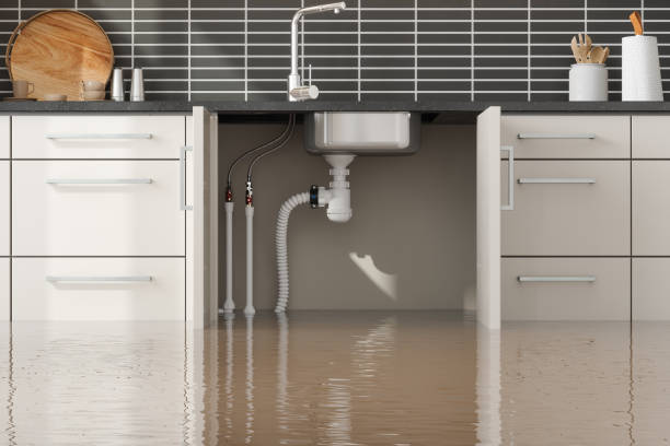 Best Water damage restoration near me  in Whitefish Bay, WI