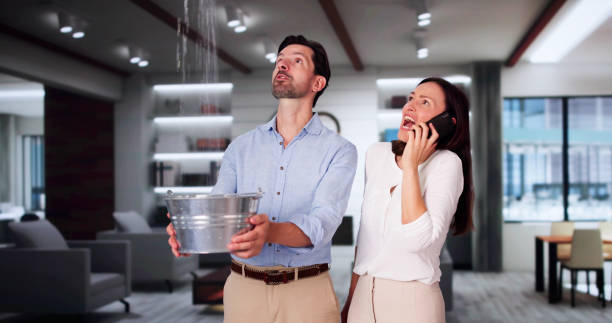 Best Flood damage cleanup  in Whitefish Bay, WI