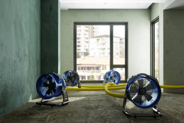 24/7 water damage repair in Whitefish Bay, WI