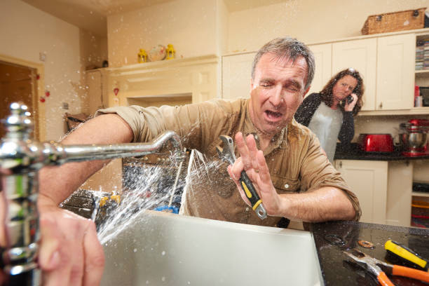 Best Residential water damage restoration  in Whitefish Bay, WI